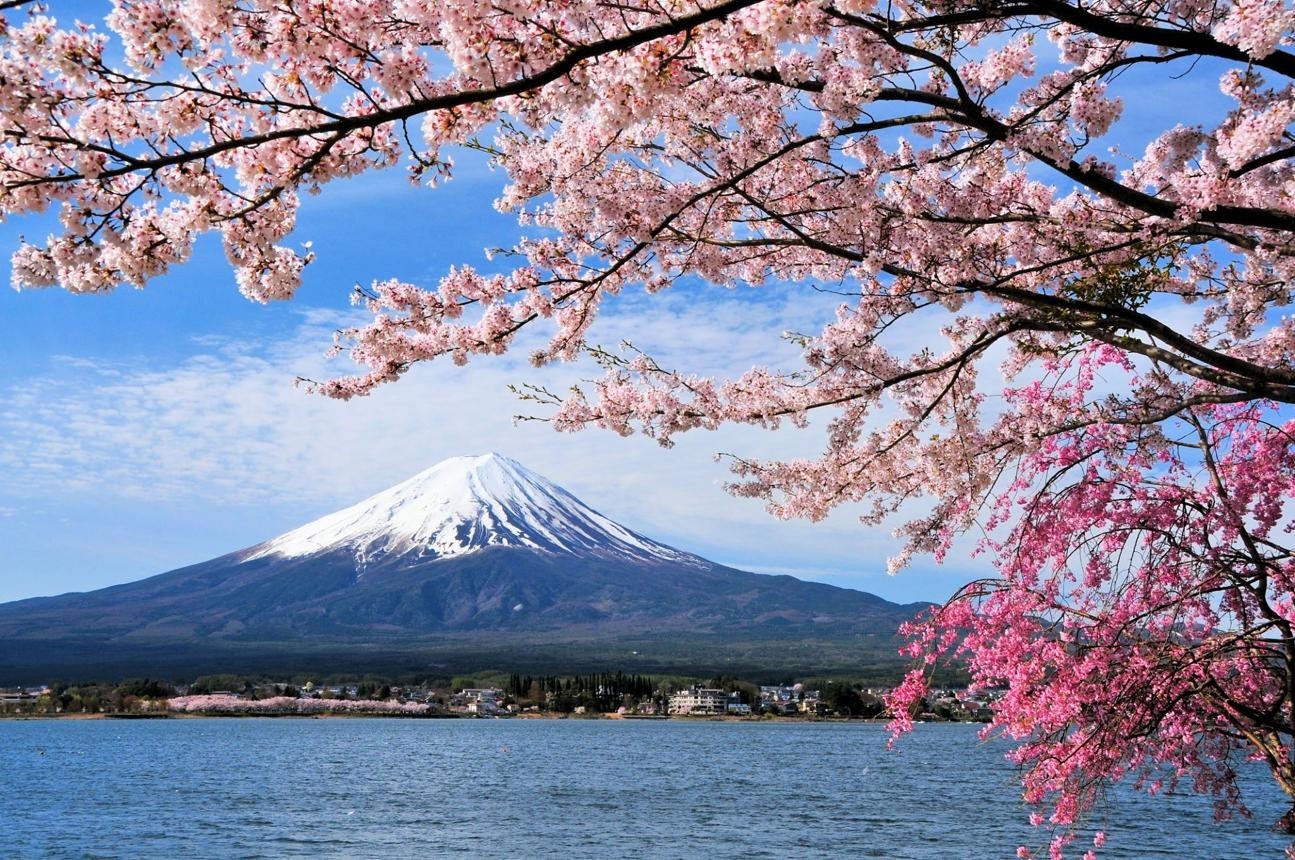 Japan – From Cherry Blossoms to City.