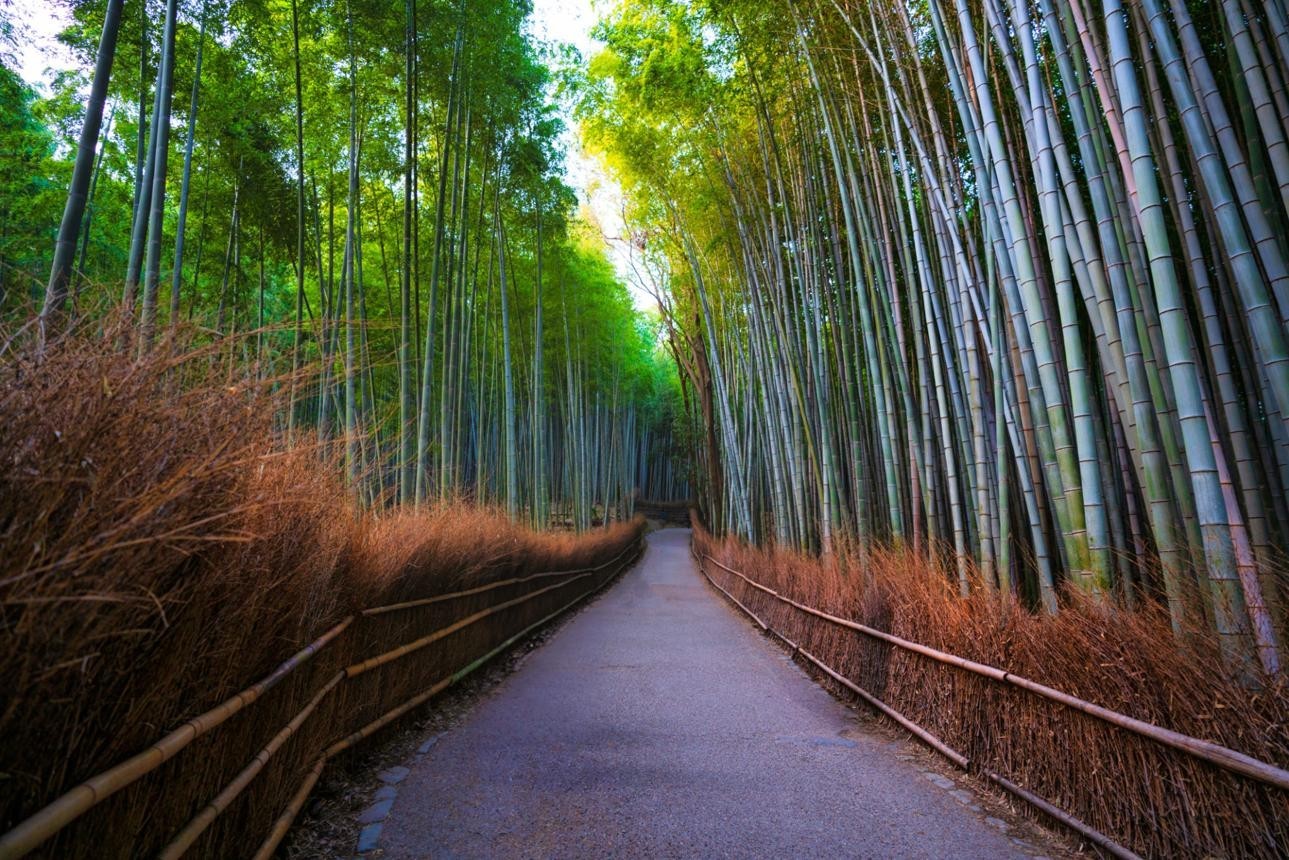 Japan – Land of Timeless Wonders