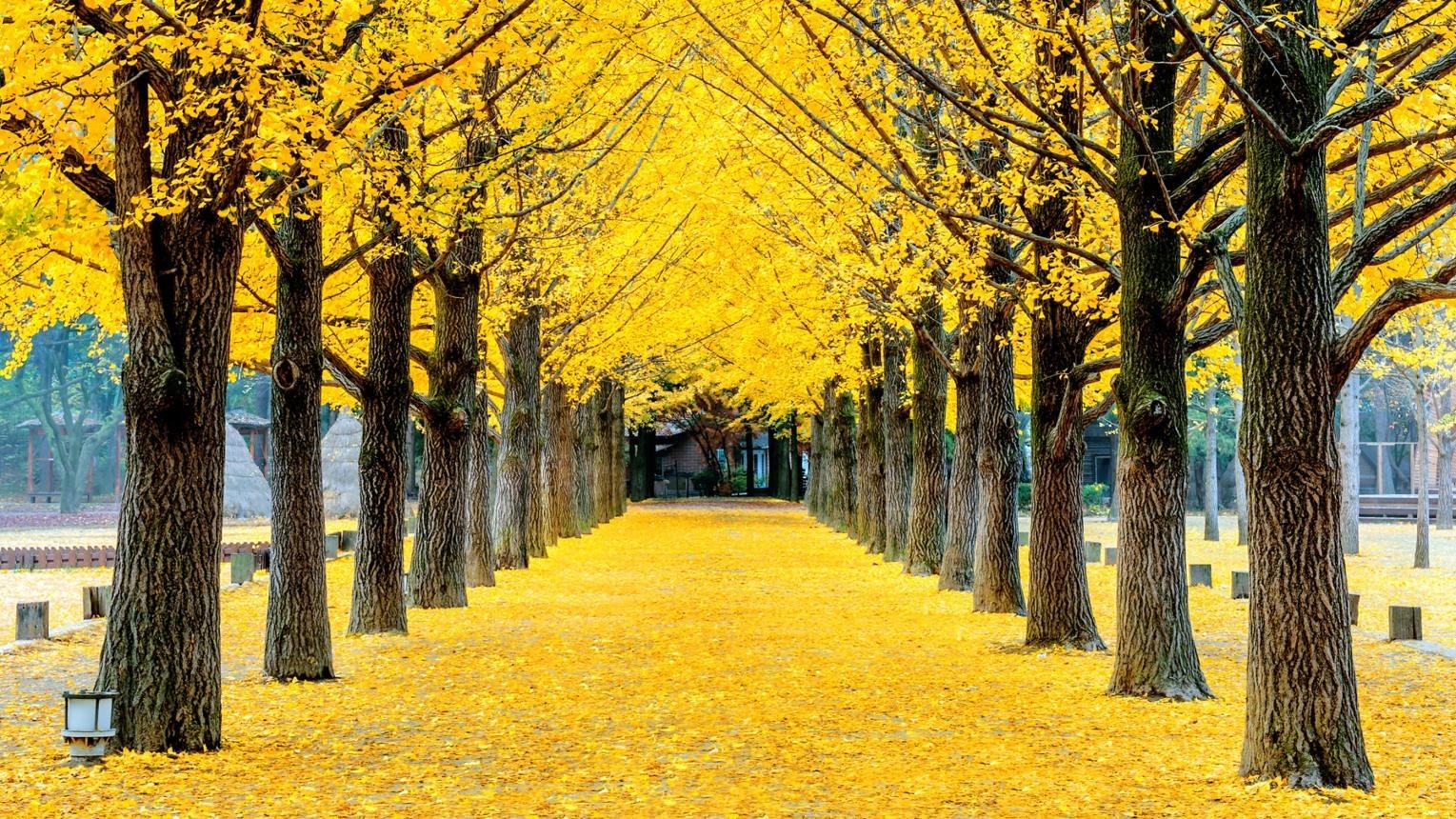 South Korea