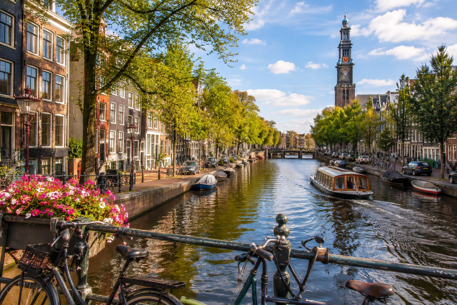 Amsterdam Bliss - Tulips & Canals