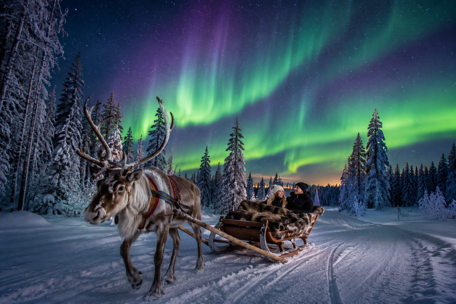 Finland - Experience Arctic Magic from Your Glass Igloo